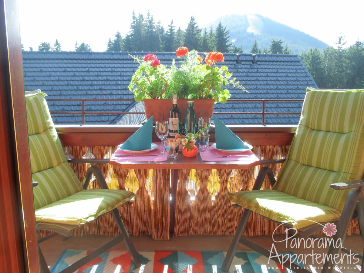 Panorama Appartement Рамзау Экстерьер фото